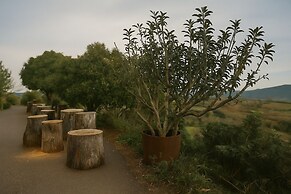 Casa Cueva Barranco Hondo