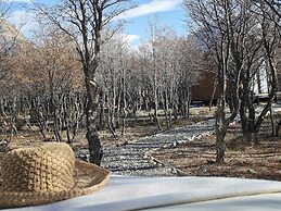 Viento de Glaciares