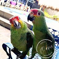 Hotel Oasis Managua
