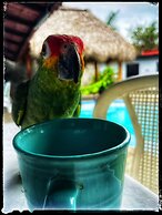 Hotel Oasis Managua