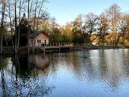 Etangs de la Palombière