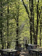 Eco village in the forest
