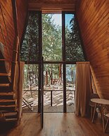 Eco village in the forest