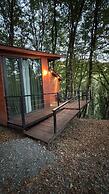Eco village in the forest