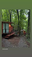 Eco village in the forest