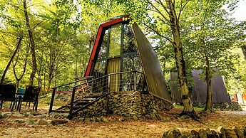 Eco village in the forest