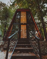 Eco village in the forest