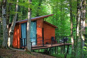 Eco village in the forest