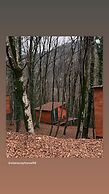 Eco village in the forest