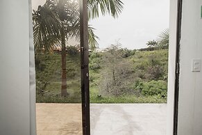 ROBLE COLONIAL