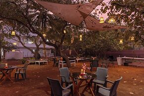 Cashew Garden Homestay