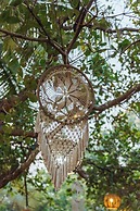 Cashew Garden Homestay