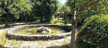 Relax in Banya's Hidden Gem - Igzila Appartment