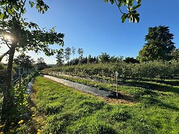 Quinta Vale Salgueiro