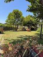 Quinta Vale Salgueiro