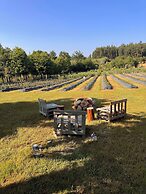 Quinta Vale Salgueiro