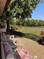 Quinta Vale Salgueiro