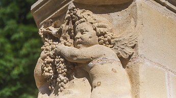 La Villa des Vignes