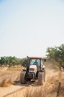 Herdade do Carregouçal