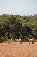 Herdade do Carregouçal