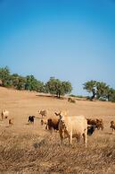 Herdade do Carregouçal