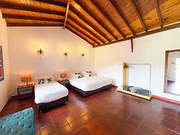 Dreamer Cocora