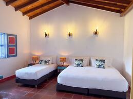 Dreamer Cocora