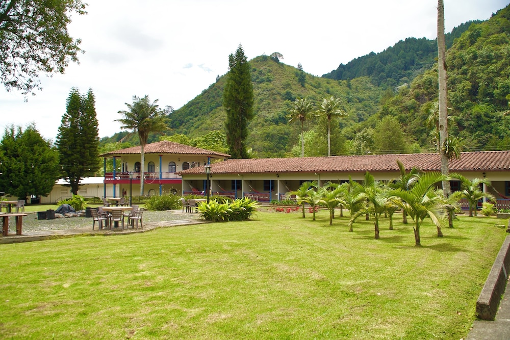 Dreamer Cocora