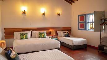 Dreamer Cocora