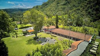 Dreamer Cocora