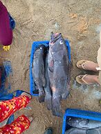 Hill Village Phu Yen
