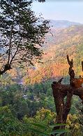 Infinity Viewpoint Homestay
