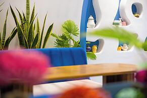 Lotus Home Cafe – Budget