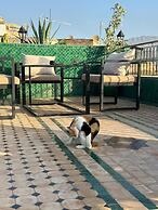 Riad citronnier