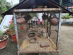Rising Surya Homestay
