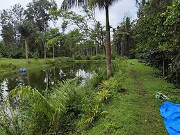 Rising Surya Homestay