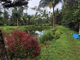 Rising Surya Homestay