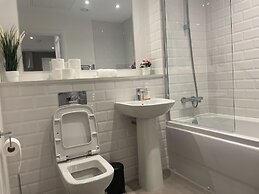 The Artist Suite