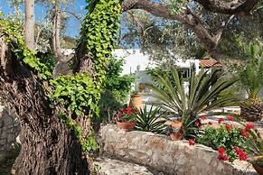Los Olivos Los Olivos