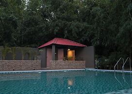 Irroi Kaziranga