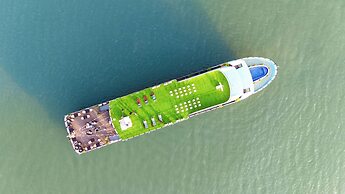 Dragon Premium Cruise
