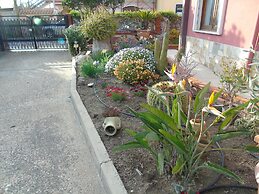 Casa Da Pina B&B