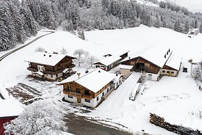 Mittersill Apartment Close to ski Lifts