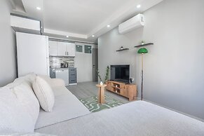 Maxihomes Swan