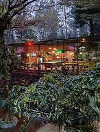 The Pinewood Lodge & Organic Farm