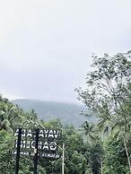 Vayalada Garden resort