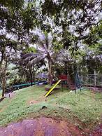 Vayalada Garden resort