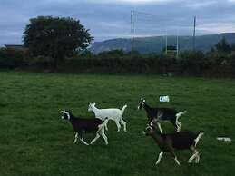 Glendale Cushendall