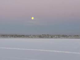 Arctic Shaman Adventures-Jurtta