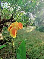 Samuu HomeStay
